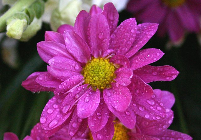 photo 0107.jpg